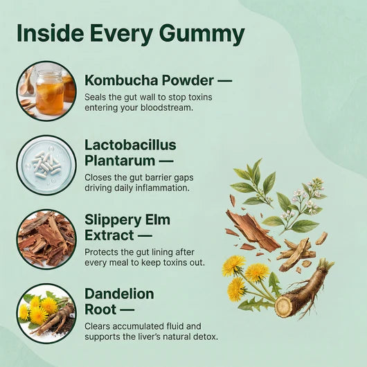 Delvora Kombucha Gummies